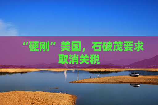 “硬刚”美国，石破茂要求取消关税