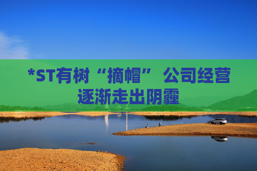 *ST有树“摘帽” 公司经营逐渐走出阴霾  第1张
