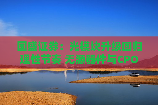 国盛证券：光模块升级回归理性节奏 无源器件与CPO价值重估