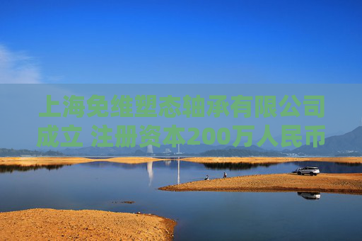 上海免维塑态轴承有限公司成立 注册资本200万人民币  第1张