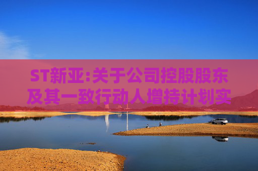 ST新亚:关于公司控股股东及其一致行动人增持计划实施完成的公告  第1张