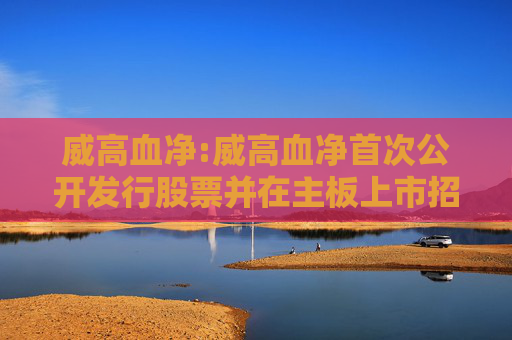 威高血净:威高血净首次公开发行股票并在主板上市招股说明书提示性公告