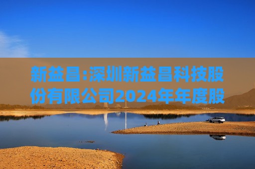 新益昌:深圳新益昌科技股份有限公司2024年年度股东大会会议资料(更正)