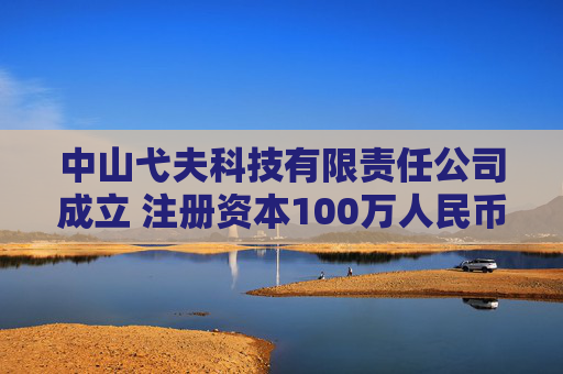 中山弋夫科技有限责任公司成立 注册资本100万人民币