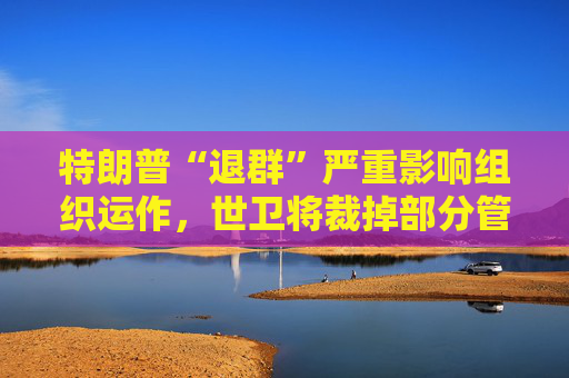 特朗普“退群”严重影响组织运作，世卫将裁掉部分管理人员