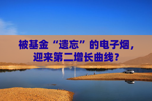 被基金“遗忘”的电子烟，迎来第二增长曲线？