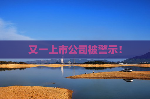 又一上市公司被警示！
