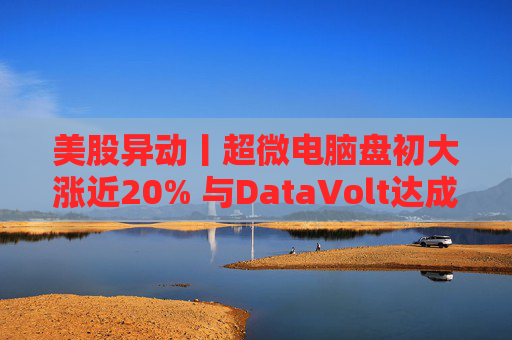 美股异动丨超微电脑盘初大涨近20% 与DataVolt达成200亿美元合作协议