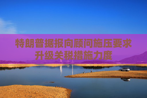 特朗普据报向顾问施压要求升级关税措施力度