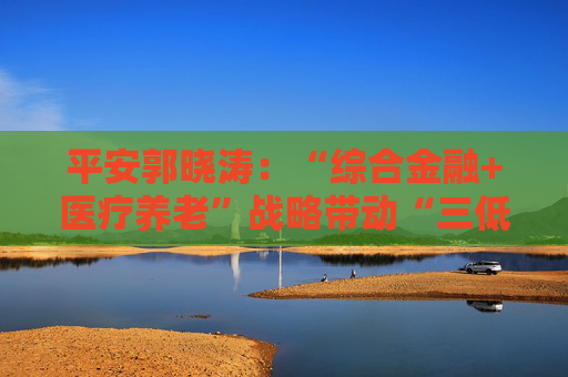 平安郭晓涛：“综合金融+医疗养老”战略带动“三低一高”和“三差”优化