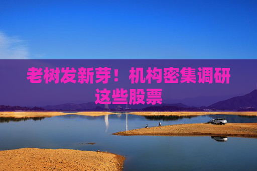 老树发新芽！机构密集调研这些股票