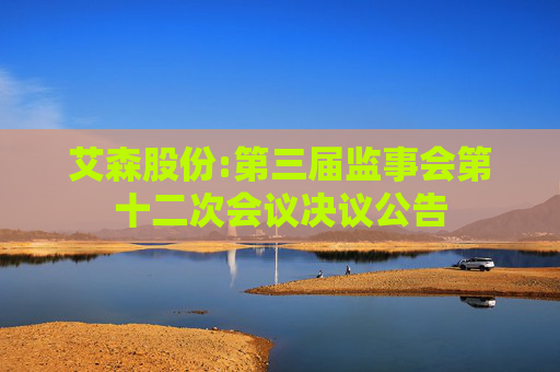 艾森股份:第三届监事会第十二次会议决议公告
