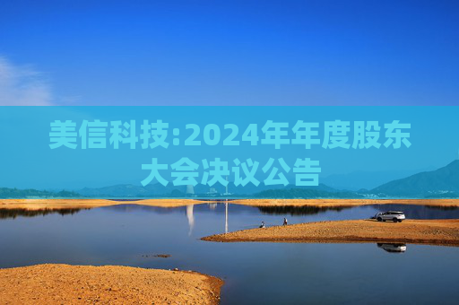 美信科技:2024年年度股东大会决议公告