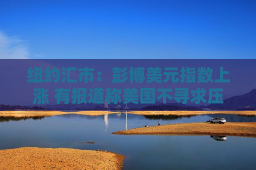 纽约汇市：彭博美元指数上涨 有报道称美国不寻求压低美元汇率