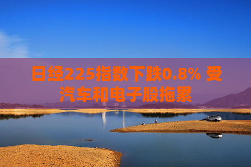 日经225指数下跌0.8% 受汽车和电子股拖累  第1张