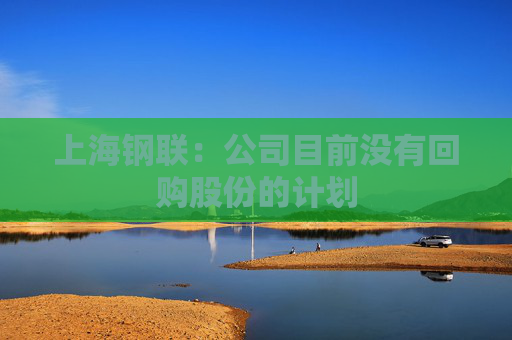 上海钢联：公司目前没有回购股份的计划