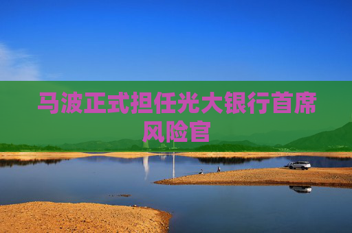 马波正式担任光大银行首席风险官
