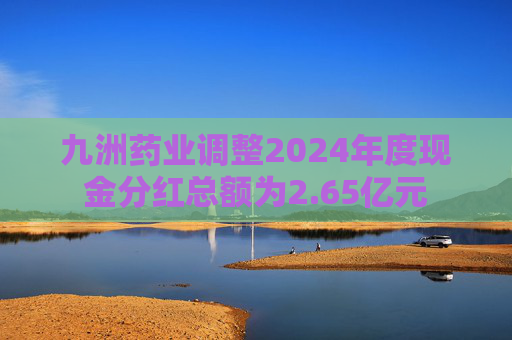 九洲药业调整2024年度现金分红总额为2.65亿元