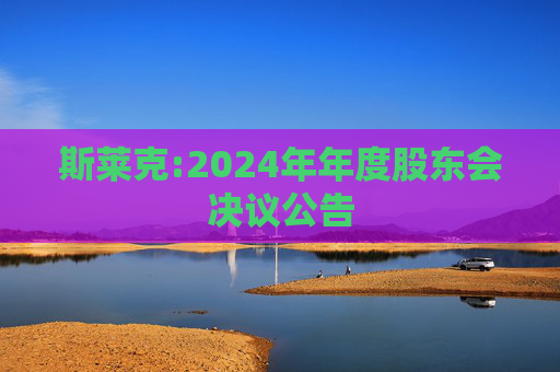 斯莱克:2024年年度股东会决议公告