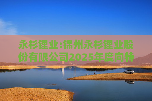 永杉锂业:锦州永杉锂业股份有限公司2025年度向特定对象发行A股股票方案论证分析报告