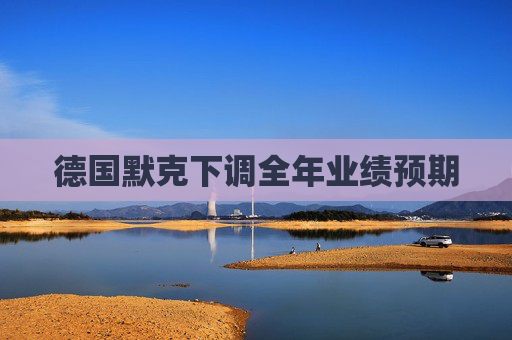德国默克下调全年业绩预期