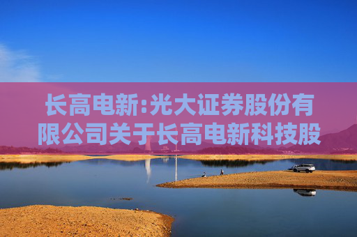 长高电新:光大证券股份有限公司关于长高电新科技股份公司增加金洲生产基地三期项目投资规模的核查意见  第1张
