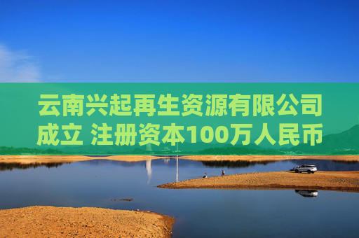 云南兴起再生资源有限公司成立 注册资本100万人民币  第1张
