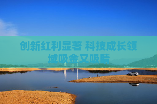 创新红利显著 科技成长领域吸金又吸睛