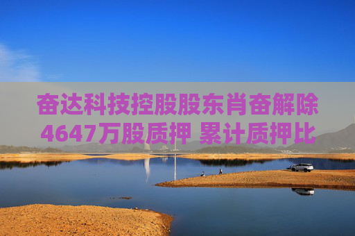 奋达科技控股股东肖奋解除4647万股质押 累计质押比例达74.15%