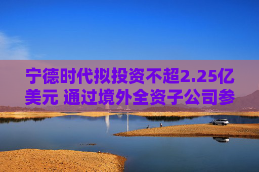 宁德时代拟投资不超2.25亿美元 通过境外全资子公司参与碳中和基金