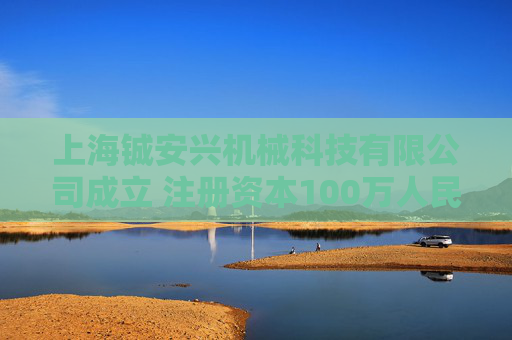 上海铖安兴机械科技有限公司成立 注册资本100万人民币