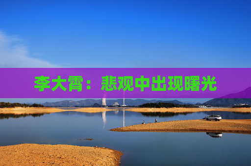 李大霄：悲观中出现曙光