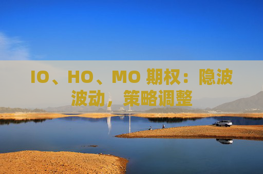 IO、HO、MO 期权：隐波波动，策略调整