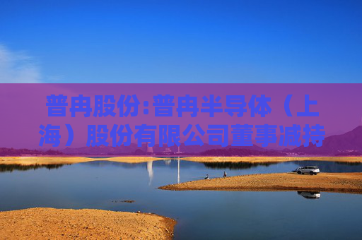 普冉股份:普冉半导体（上海）股份有限公司董事减持股份计划公告