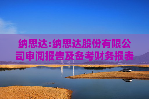 纳思达:纳思达股份有限公司审阅报告及备考财务报表