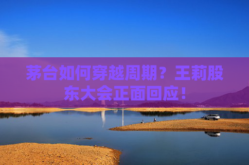 茅台如何穿越周期？王莉股东大会正面回应！