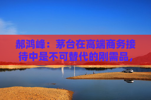 郝鸿峰：茅台在高端商务接待中是不可替代的刚需品，没有就会很尴尬  第1张
