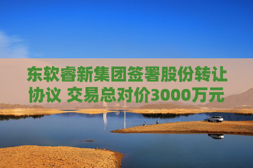 东软睿新集团签署股份转让协议 交易总对价3000万元