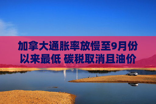 加拿大通胀率放慢至9月份以来最低 碳税取消且油价下跌