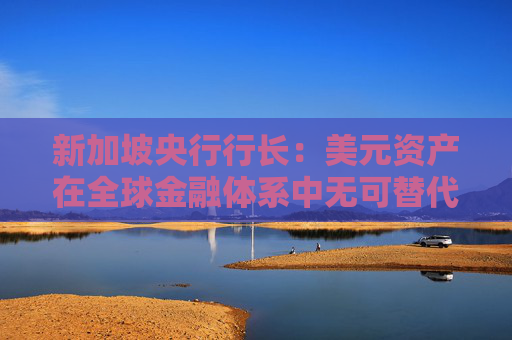 新加坡央行行长：美元资产在全球金融体系中无可替代  第1张