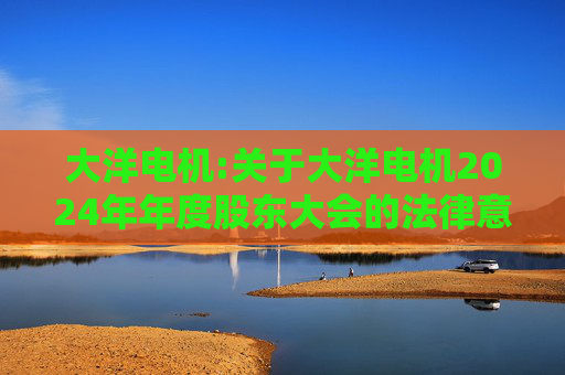 大洋电机:关于大洋电机2024年年度股东大会的法律意见书