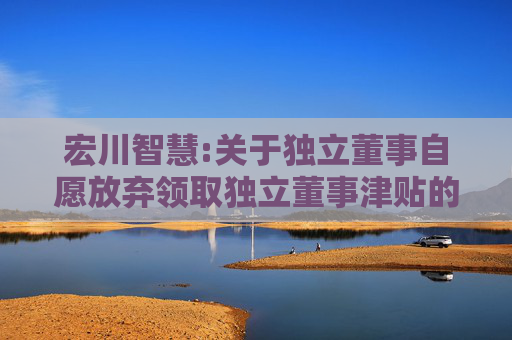 宏川智慧:关于独立董事自愿放弃领取独立董事津贴的公告