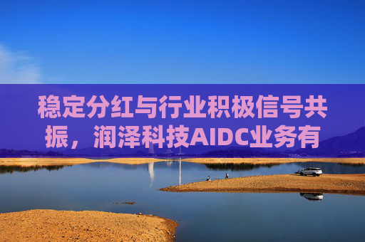 稳定分红与行业积极信号共振，润泽科技AIDC业务有望持续增长
