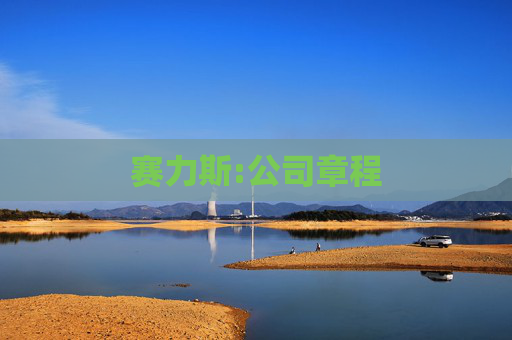 赛力斯:公司章程