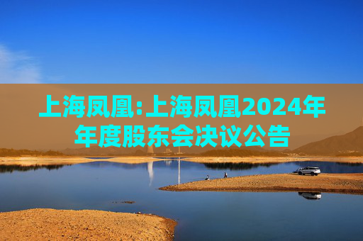 上海凤凰:上海凤凰2024年年度股东会决议公告