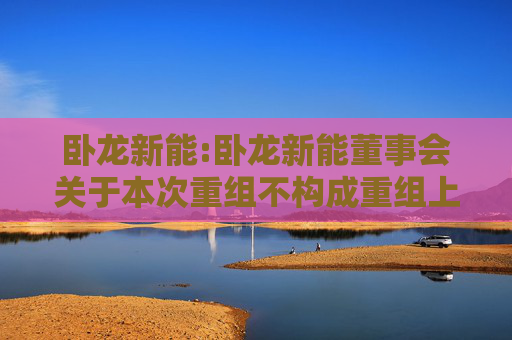 卧龙新能:卧龙新能董事会关于本次重组不构成重组上市的说明