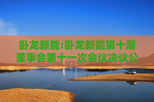 卧龙新能:卧龙新能第十届董事会第十一次会议决议公告