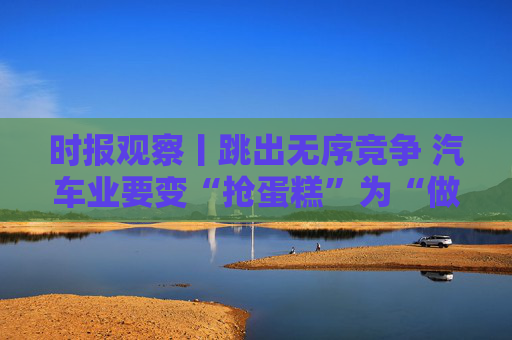 时报观察丨跳出无序竞争 汽车业要变“抢蛋糕”为“做蛋糕”