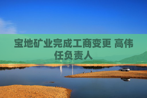 宝地矿业完成工商变更 高伟任负责人