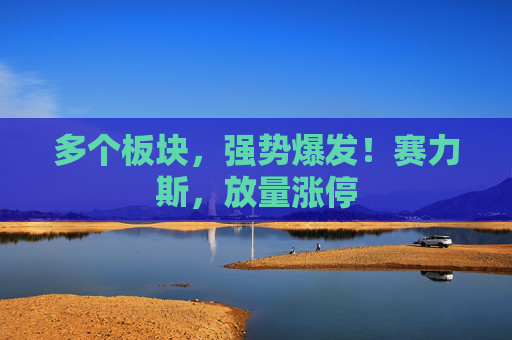 多个板块，强势爆发！赛力斯，放量涨停
